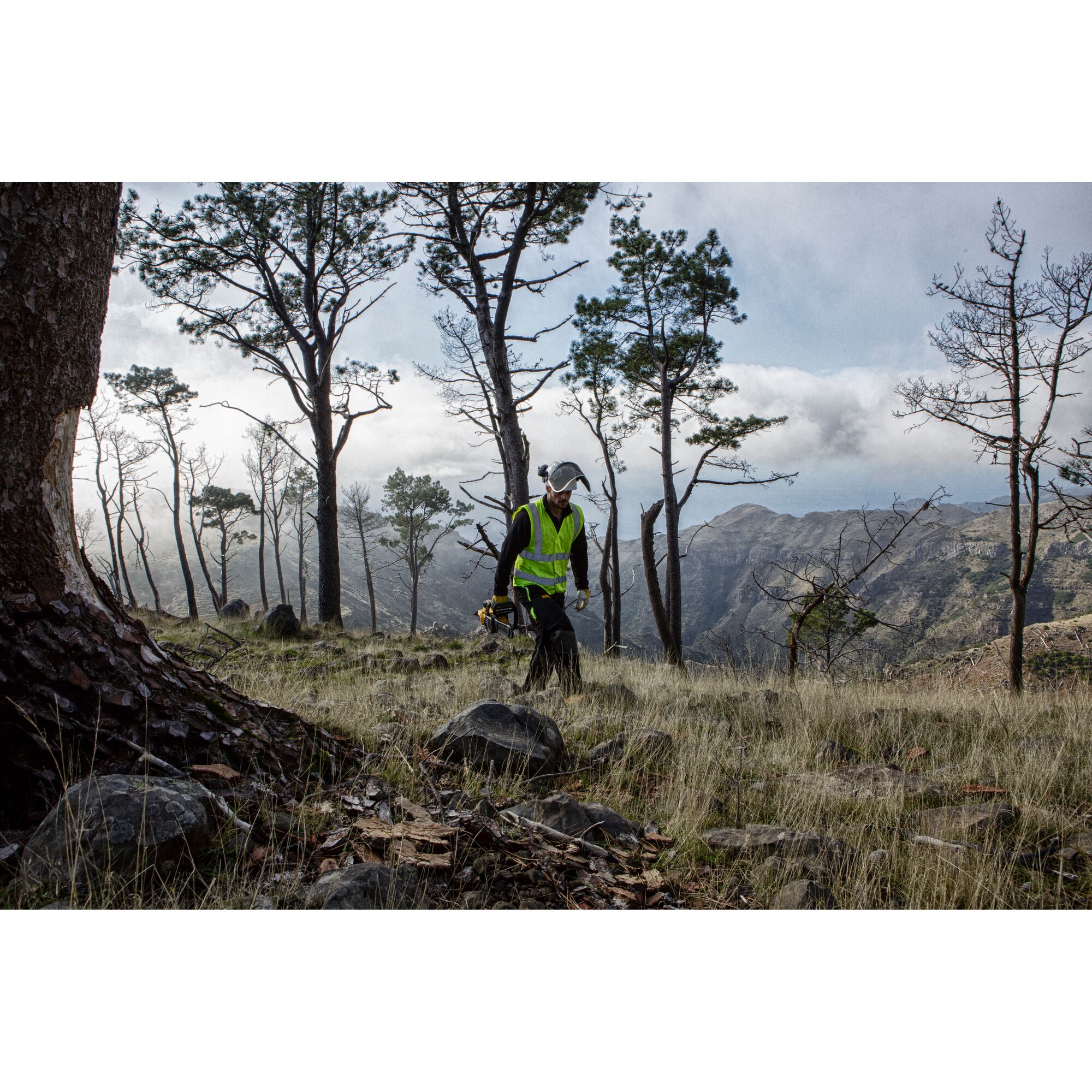 A worker wearing a high-visibility vest and protective gear is walking through a forested area on a hillside, carrying a DEWALT chainsaw. The scene includes trees, rocky ground, and mountains in the background.